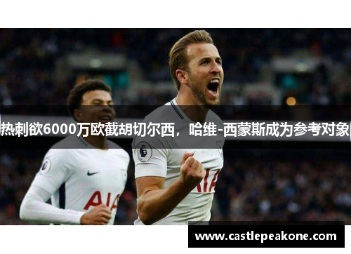 热刺欲6000万欧截胡切尔西，哈维-西蒙斯成为参考对象